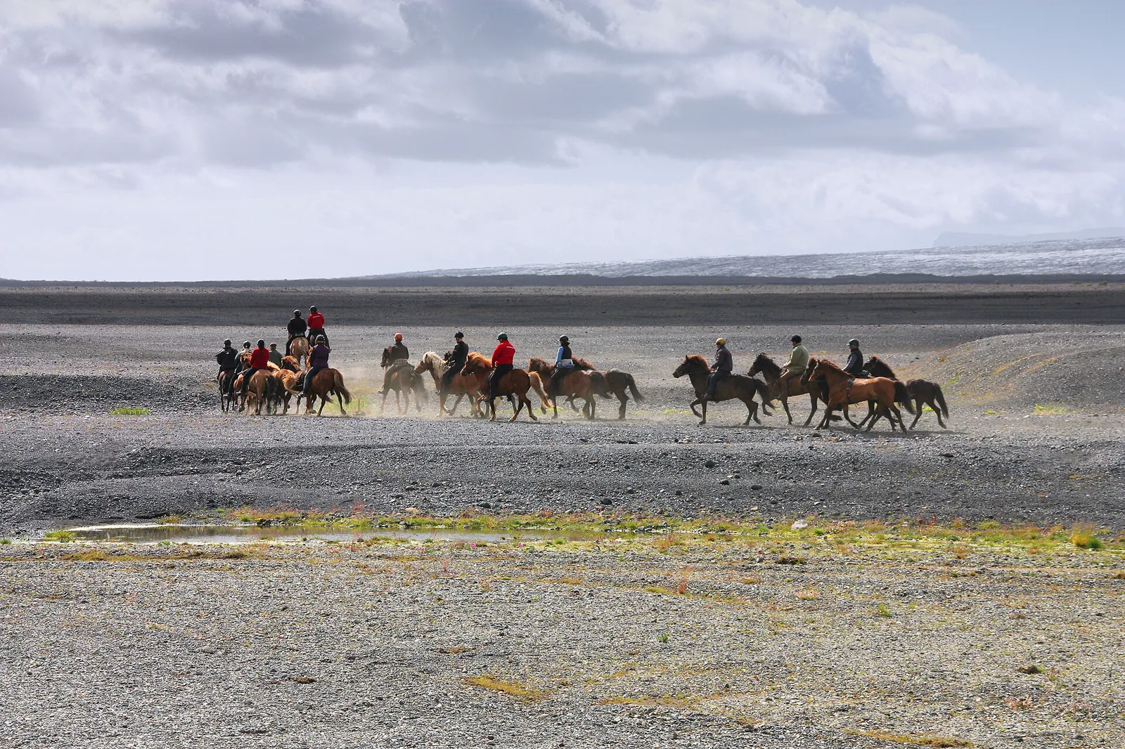 Visitors following a guide on Icelandic horses through Icelandic terrain