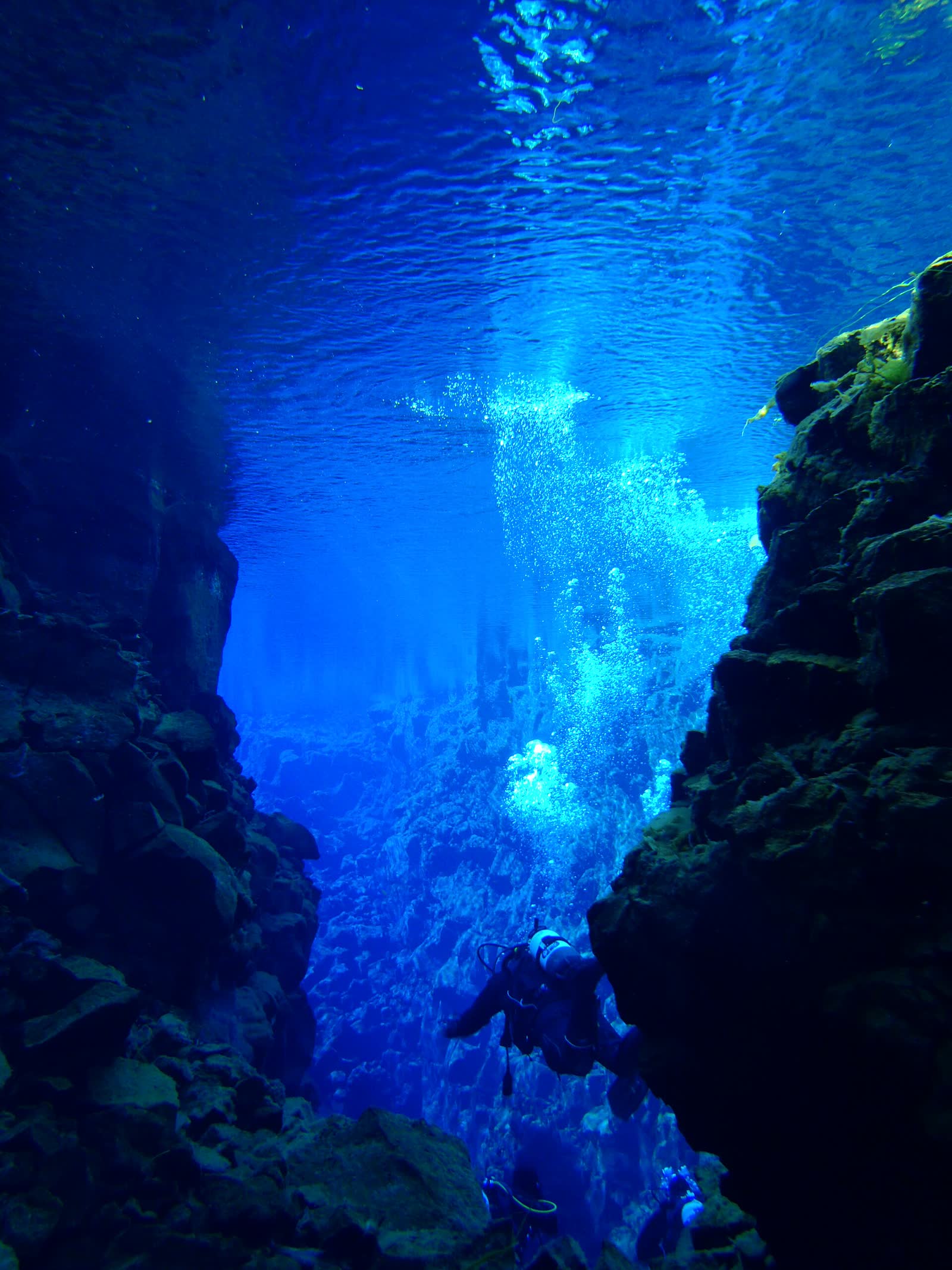 The underwater environment at Silfra