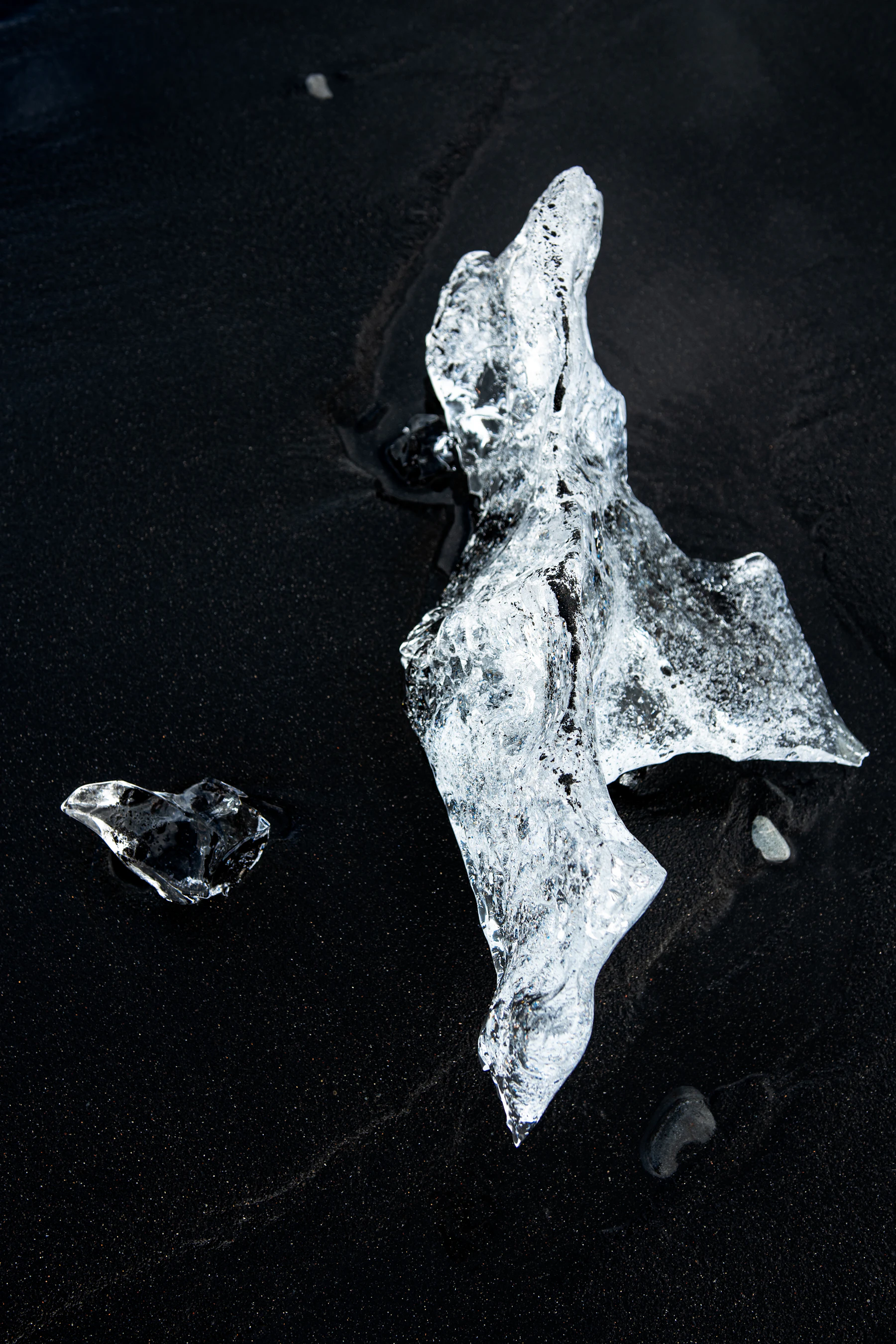 A clear ice fragment resting on the black sand at Diamond Beach